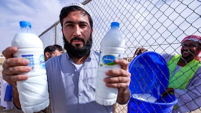 After the milk is weighed, it is poured into drums which are collected by locals and visitors outside the gated competition area.