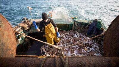 A fisherman sorts through a fresh catch of fish aboard fishing boat 'About Time' while trawling in the English Channel from the Port of Newhaven, East Sussex, U.K. on Sunday, Jan. 10, 2021. While Prime Minister Boris Johnson claimed last month’s trade deal will let the U.K. regain control of its fishing waters by taking back 25% of the European Union’s rights over five years, many fishermen feel let down. Photographer: Jason Alden/Bloomberg
