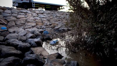 An empty truck sits with its engine idling near the shores of the mangrove islands at the mangroves near the East Road in Abu Dhabi. Mangroves, natural saline habitants, are affected by erosion caused by development of the surrounding islands. (Silvia Raz???
