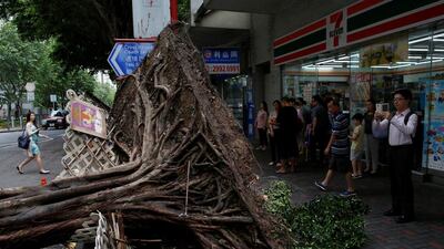 A man takes a photo of an uprooted tree after Typhoon Nida hit Hong Kong. Tyrone Siu / Reuters