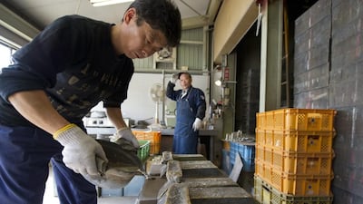 A worker pours molten tin into metal casting moulds at the Nousaka metal crafts factory in Takaoka, famed for its fine metal work tradition dating back four-hundred years. Everett Kennedy Brown / EPA