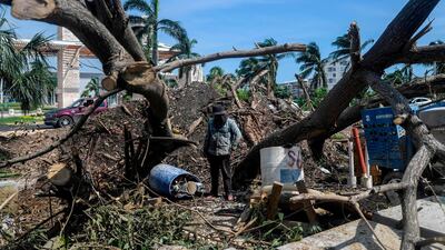 A man inspects trees felled by the passage of Hurricane Delta in Cancun, Quintana Roo state, Mexico, on October 8, 2020. AFP