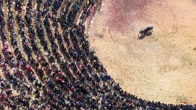 This photo taken on January 12, 2025 shows villagers watching a bullfight to welcome the upcoming Lunar New Year of the Snake in Congjiang County, southwest China's Guizhou province. (Photo by AFP) / China OUT