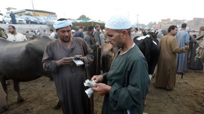 Traders count money as people buy animals to sacrifice for Eid Al Adha, marking the end of Hajj, the annual Muslim pilgrimage to Makkah. EPA