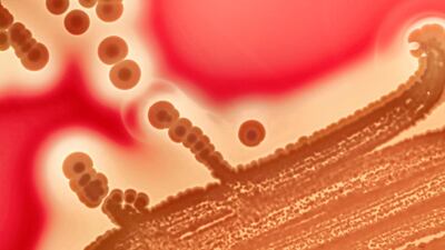 Antibiotic overuse poses a genuine threat today. Getty