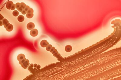 Antibiotic overuse poses a genuine threat today. Getty