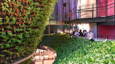 The Singapore pavilion contains more than 80,000 plants. Rows of palms and other trees shade the interior and fans dispense cooling mist on to visitors.