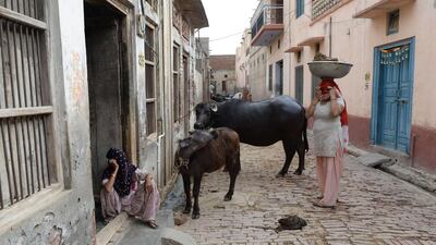 Khaps have been blamed for provoking honour killings, public beatings and even fuelling the buying of brides. Sajjad Hussain/ AFP Photo