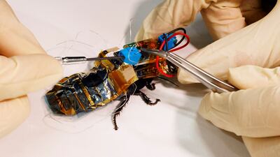 Despite the mechanical devices, ultrathin electronics and flexible materials allow the insects to move freely.