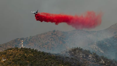 A plane fights a forest fire in San Carlos de Apoquindo in Santiago. AFP