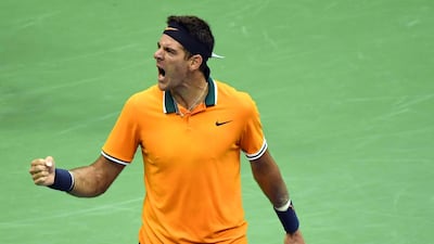 Juan Martin del Potro is through to his second US Open final, nine years after his first one, which he won. Danielle Parhizkaran / USA Today Sports