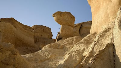 Al Ahsa Oasis. Alamy