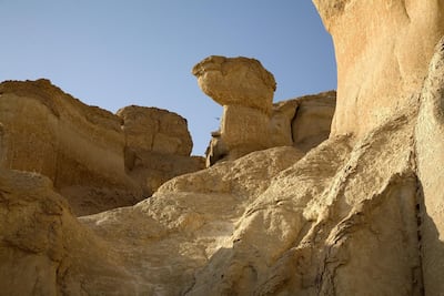 Al Ahsa Oasis. Alamy