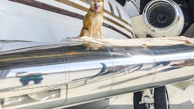 Luna filmed on board a private jet for a short movie that was screened at Dubai Art Week earlier this year. Courtesy Howl & Growl