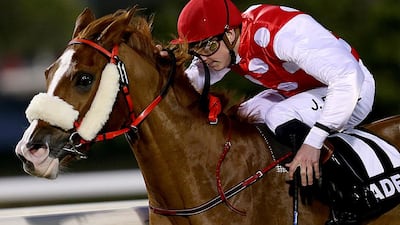 Jockey James Doyle riding Nymphea Du Paon to victory in the first leg of the Arabian Triple Crown at the Abu Dhabi Equestrian Club on January 5, 2014. Satish Kumar / The National
