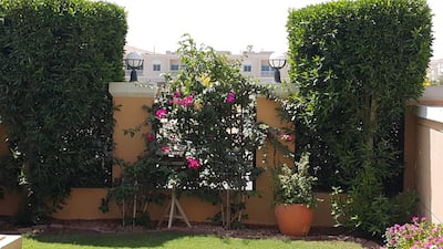 Selina Denman / The National