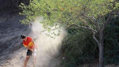 Carlota Ciganda is well placed to become the first golfer since 1985 to clinch the Order of Merit and Rookie of the Year titles. David Cannon / Getty Images