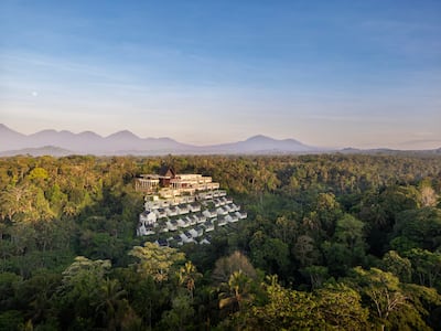 Anantara Ubud Bali Resort is surrounded by a lush, dense jungle. Photo: Anantara