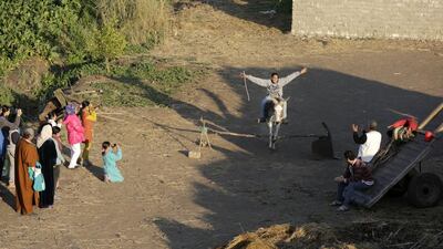 The donkey leaps like a horse over a barrier.