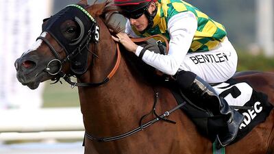 Harry Bentley , here riding Duzar, will get the call aboard Haajeb at Abu Dhabi Equestrian Club on Sunday night. Satish Kumar / The National