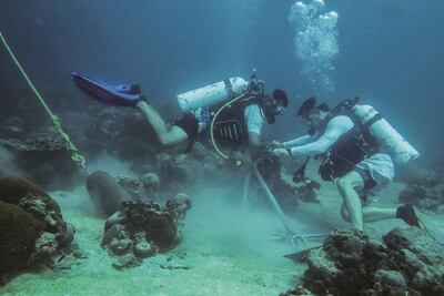 Edwin Grandcourt on one of his many dives in the region. Courtesy Environment Agency - Abu Dhabi