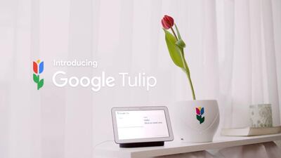 Google has introduced a way to communicate with plants in Google Tulip.