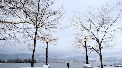 The novelty of falling snow wore off every time I contemplated the barren trees in a nearby park. I couldn’t wait for verdant green to take hold again. Reuters