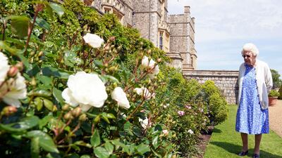 Britain's queen inspects a rose border in the gardens of Windsor Castle, where she has spent much of her time since the start of the pandemic. AFP