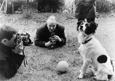 A dog named Pickles became a celebrity in England after he found the Jules Rimet trophy one week after it had been stolen and then thrown away ahead of the 1966 World Cup. Getty
