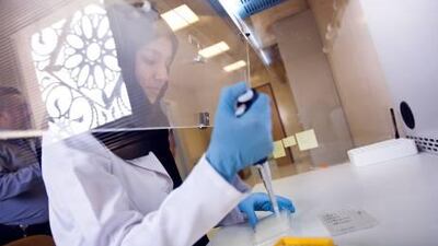 Eman Ahmed works with frog secretions in a lab at UAE University.