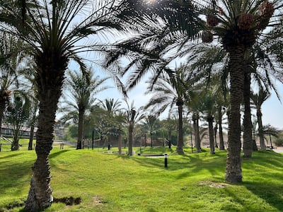 The pet-friendly property is dotted with trees, an outdoor cafe and a large chess board. Jennifer Gnana / The National