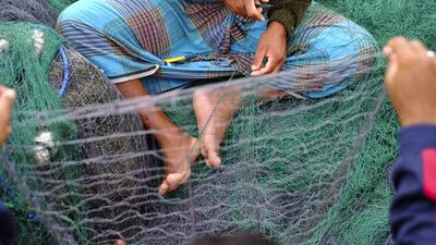 In 2002 fish stocks were estimated at 1,735kg per square kilometre. By 2011 they had dropped to 529kg per square kilometre. Antonie Robertson / The National