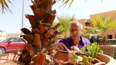 Hartmut Mausolf has developed an automated palm tree-watering system. The device is called Water only on Demand, or Wood, and is supposed to half the amount of water used a day. Fatima Al Marzooqi / The National