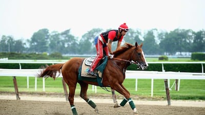California Chrome shown on Wednesday with exercise rider Willie Delgado at Belmont Park ahead of the Belmont Stakes on Saturday. Al Bello / Getty Images / AFP / June 4, 2014