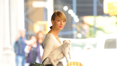 US singer Taylor Swift has three cats and takes them around with her. GC Images
