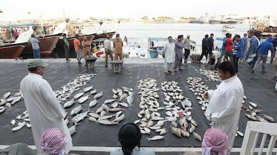 Lining up their catch: soon a fish monger will call customers to bid at Ajman Fish Market. Jeffrey E Biteng / The National