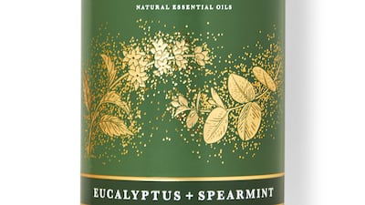 Eucalyptus and spearmint shower steamer, Dh75, Bath & Body Works. Photo: Bath & Body Works