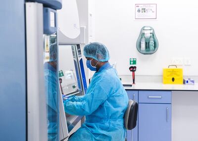 A pathologist tests a sample taken from a potential carrier of Covid-19 at Burjeel Medical City. Reem Mohammed/The National.