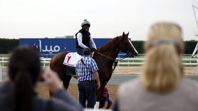 A jockey rides California Chrome, a racehorse from the USA trained by Art Sherman, on the track at Meydan Racecourse during preparations for the Dubai World Cup 2016 in Dubai, United Arab Emirates, 23 March 2016. The 21st edition of the Dubai World Cup will take place on 26 March 2016. EPA/ALI HAIDER