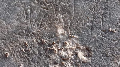 The stones date back to the era of the Assyrian King Sinharib who reigned from 705-681 BC.