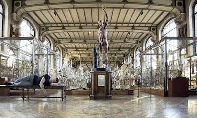 Still Life by Ali Cherri (2017). Courtesy of Ali Cherri and Galerie Imane Farès.