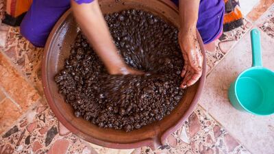 Saadia Tighanimine’s hands mixing the argan paste with water to extract the oil. Photo by Matilde Gattoni