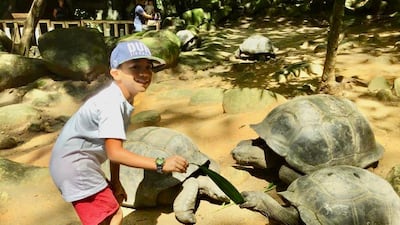 Mario in the Seychelles with Aldabra tortoises. Courtesy: Nani Montero