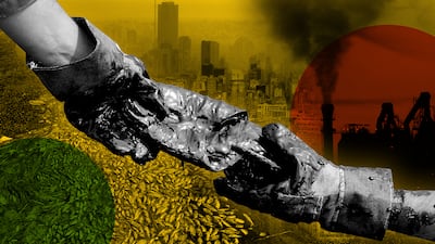 The country's environmental collapse is endangering health, the economy and society. Deepak Fernandez // The National