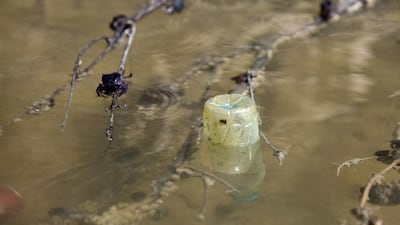 Crabs scurry around a plastic bottle floating in the Eastern Mangroves in Abu Dhabi. Silvia Razgova / The National