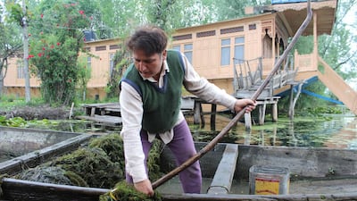 A farmer extracting aquatic weeds from the lake. Priti Salian for The National