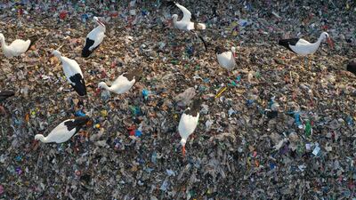 In addition to recycling, the landfill is also able to generate electricity using gas extracted from the dumped waste.