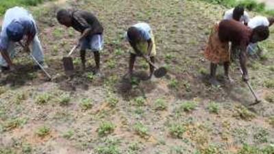 Mr Mugabe's land reforms disrupted the agricultural sector and scared away foreign investors.