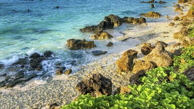 Nauru is one of the least-visited countries in the world, which has helped keep the islands Covid-free. Unsplash