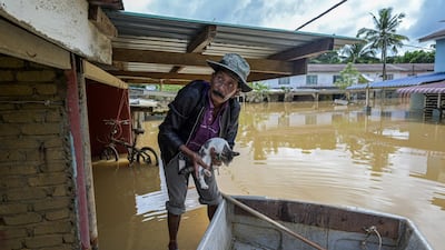 Muhammad Fadzil Wahab, a local volunteer rescues a kitten from a rooftop of an abandoned house as floodwaters submerged areas following heavy monsoon rains in Mentakab town in Malaysia's Pahang state on January 8. Mohd RasFan / AFP